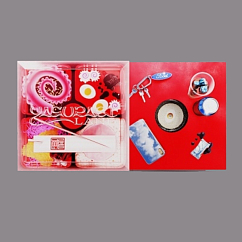 Vinyl Record Yasuragi Land - Foodman LP