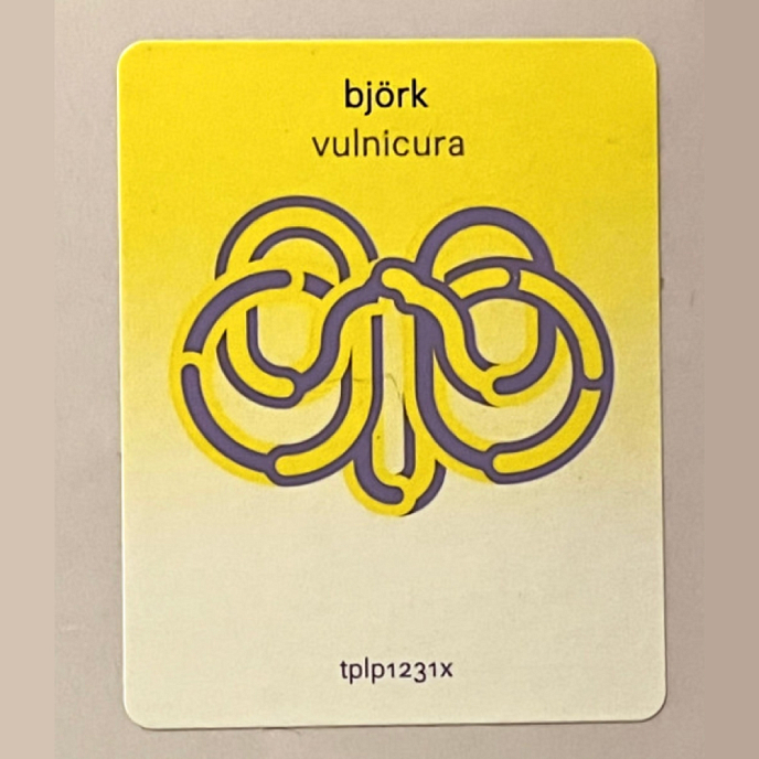 Vinyl Record Bjork - Vulnicura - 2LP - img.1