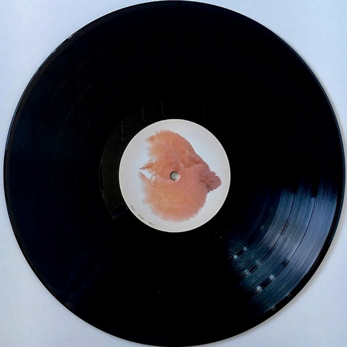 Vinyl Record Bjork - Utopia - 2LP - img.11