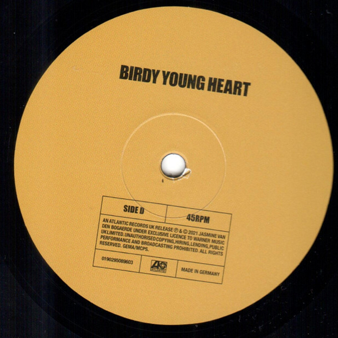 Vinyl Record Birdy - Young Heart - 2LP - img.9