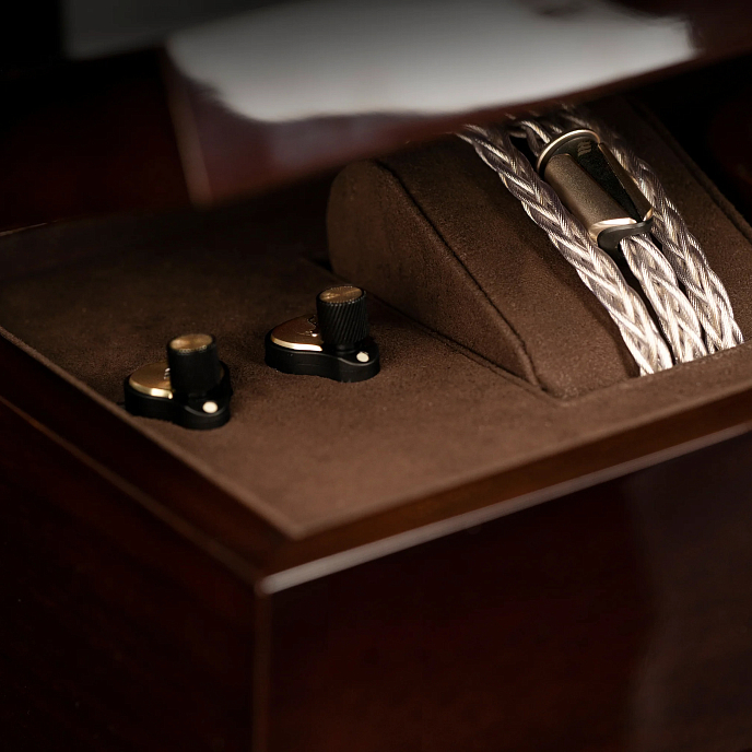 In-ear headphones Effect Audio Grand Maestro Anniversary Founders’ Edition Champagne Gold - img.7