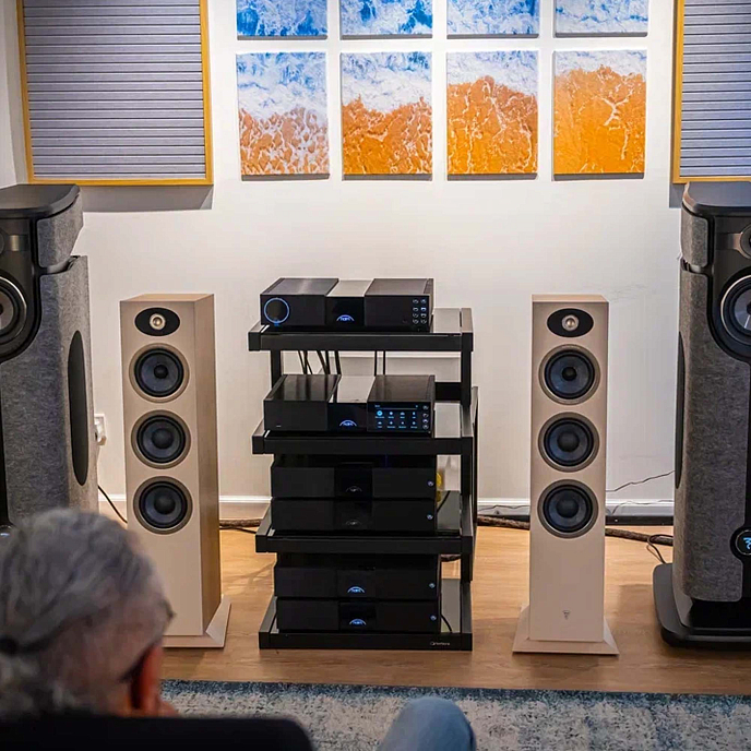 Floorstanding Speakers Focal Theva N3 Light Wood - img.6