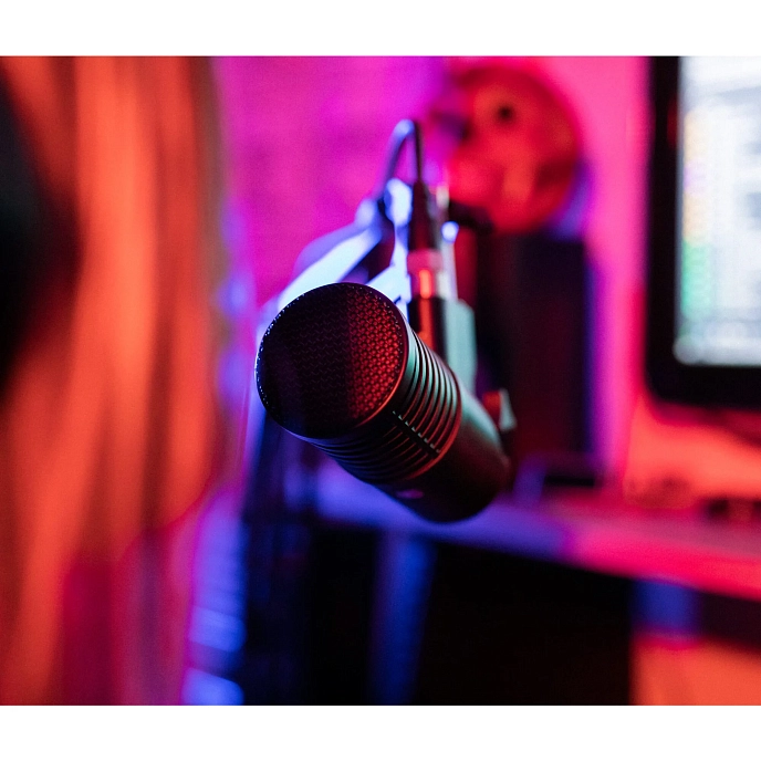 Vocal microphone SE Electronics DynaCaster DCM 8 Black Red - img.9