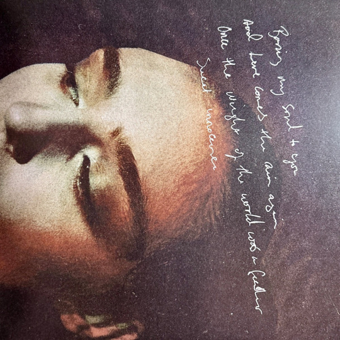 Vinyl Record Birdy - Portraits (Violet Translucent Vinyl) LP - img.8