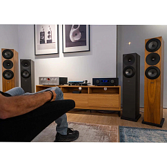 Floorstanding Speakers Amphion Argon3LS Black