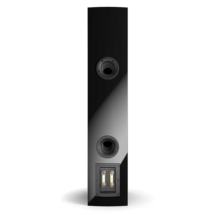 Floorstanding Speakers Dali Rubicon 6 Black High Gloss - img.5