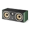 Focal Aria Evo X Center Green Moss