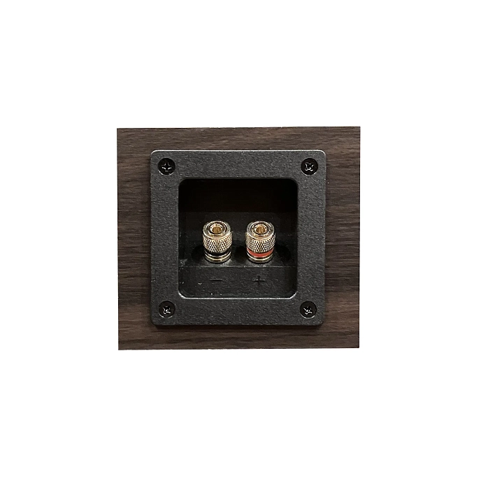 Bookshelf speakers Fostex GS17H Brown - img.1