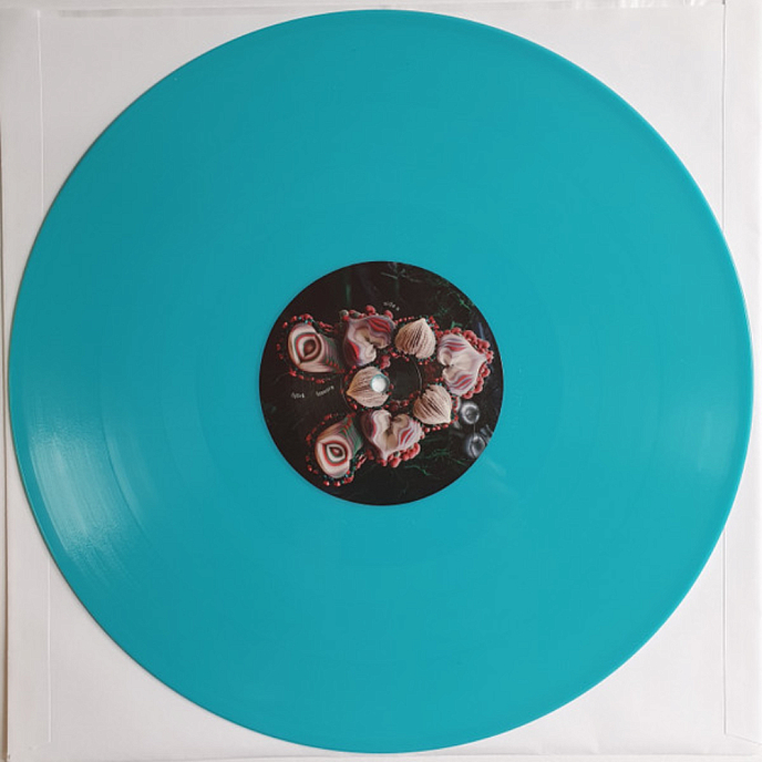 Vinyl Record Bjork – Fossora (Turquoise 2023 (2nd pressing)) 2LP - img.13