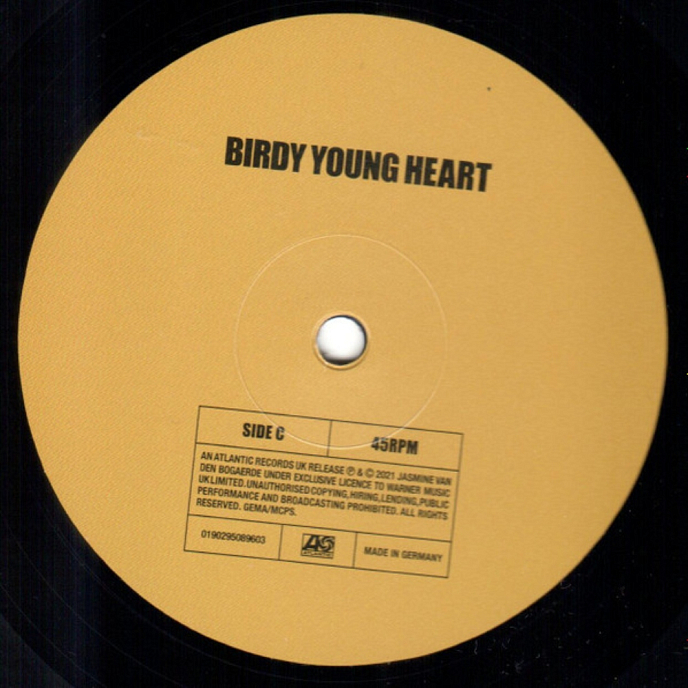 Vinyl Record Birdy - Young Heart - 2LP - img.8
