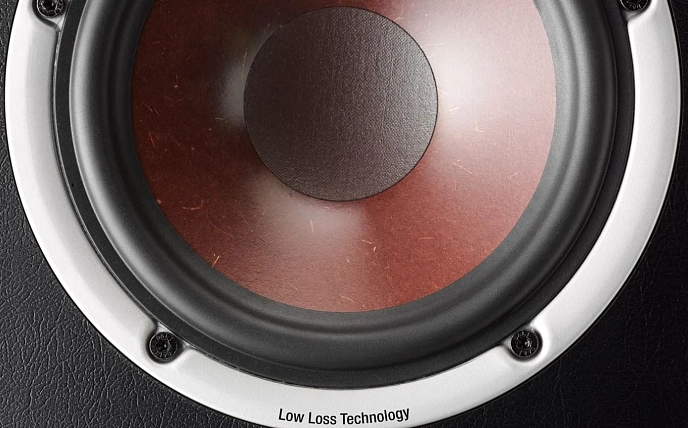 Floorstanding Speakers Dali Spektor 6 Walnut - img.8