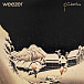 Vinyl Record Weezer - Pinkerton LP - img.0