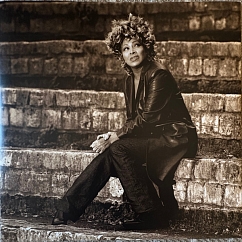 Vinyl Record Tina Turner - Tina Wildest Dreams - 2LP