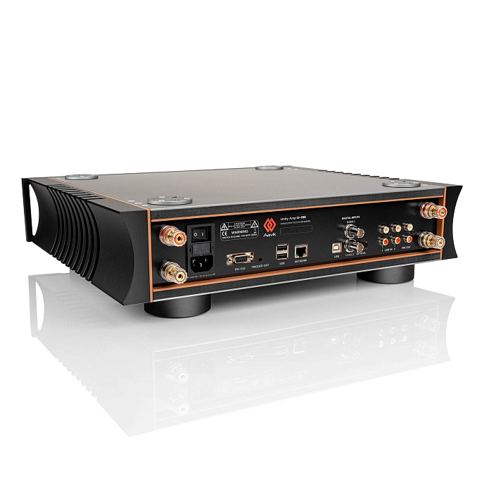 Integrated amplifier Aavik U-188 Black - img.5