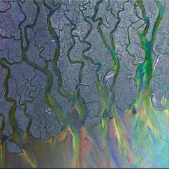 Vinyl Record Alt-J - An Awesome Wave LP