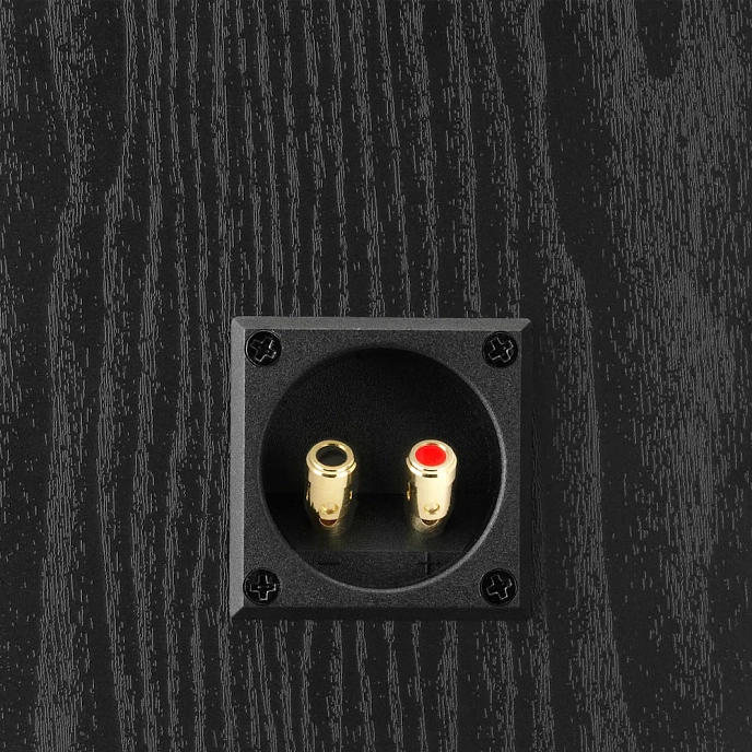 On-wall speakers Dali ALTECO C-1 Walnut - img.4