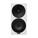 Bookshelf speakers Amphion Argon1 Standard White - img.2