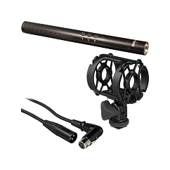 Shotgun Microphone RODE NTG4
