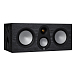Central Channel Monitor Audio Silver C250 7G Black Oak - img.0