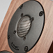 PMC Active twenty5 21i Walnut (pair) - img.8