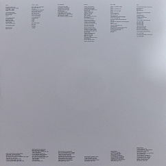 Vinyl Record Bjork – Vespertine - 2LP