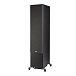 Floorstanding Speakers Polk Audio Reserve R700 Black - img.5