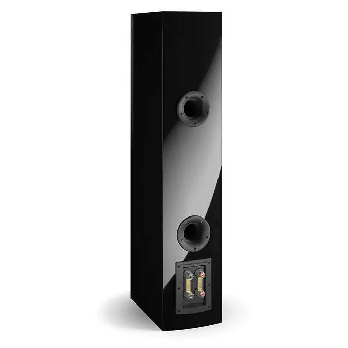 Floorstanding Speakers Dali Rubicon 6 Black High Gloss - img.6
