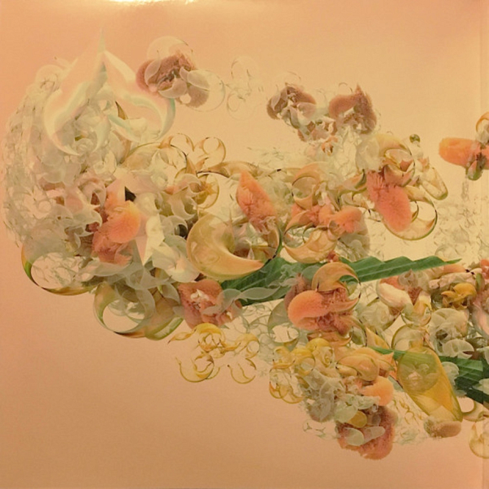 Vinyl Record Bjork - Utopia - 2LP - img.3