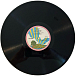 Vinyl Record Nick Drake - Pink Moon LP - img.7