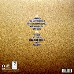 Vinyl Record Jack Johnson – All The Light Above It Too - LP