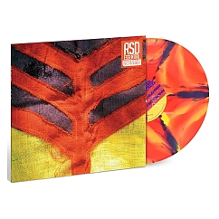 Vinyl Record Yeah Yeah Yeahs - Show Your Bones (Yellow, Purple, and Orange Marble) LP