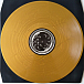 Vinyl Record Mastodon – Remission (Gold Vinyl) - 2LP - img.6