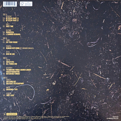 Vinyl Record Hozier - Unreal Unearth 2LP