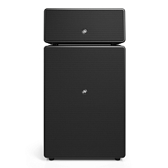 Multiroom speakers Audio Pro Drumfire II W Black