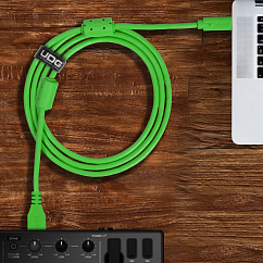 Cable UDG Ultimate Audio Cable USB-C - USB-A Straight 1.5m Green