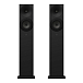 Floorstanding Speakers Amphion Argon3LX Black - img.0