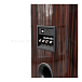 Floorstanding Speakers JBL Summit Pumori Ebony - img.9