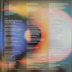 Vinyl Record Slipknot – .5: The Gray Chapter - 2LP