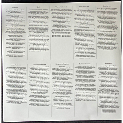 Vinyl Record Pet Shop Boys – Nonetheless LP