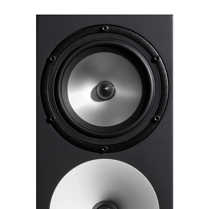 Studio monitor Amphion Two18 Black - img.5