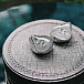 In-ear headphones EarAcoustic SPA Limited Edition Silver Snake Collectors Version Silver - img.4 In-ear headphones EarAcoustic SPA Limited Edition Silver Snake Collectors Version Silver - img.4