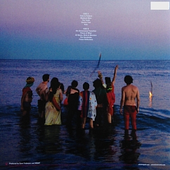 Vinyl Record MGMT - Oracular Spectacular LP