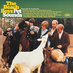 Vinyl Record The Beach Boys - Pet Sounds LP