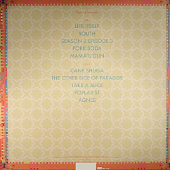 Vinyl Record Glass Animals - How To Be A Human Being LP