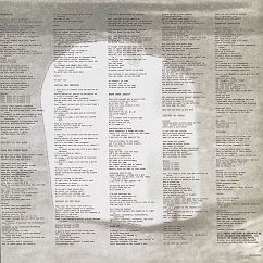 Vinyl Record Rage Against The Machine - Rage Against The Machine - LP