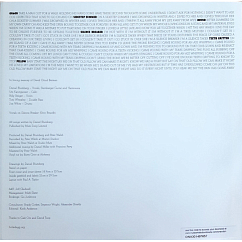 Vinyl Record Daniel Blumberg – On&On (Coloured) LP