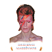 Souvenir Pyramid David Bowie Aladdin Sane (Maxi Poster) - img.0