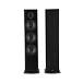Floorstanding Speakers Polk Audio T50 Black - img.0