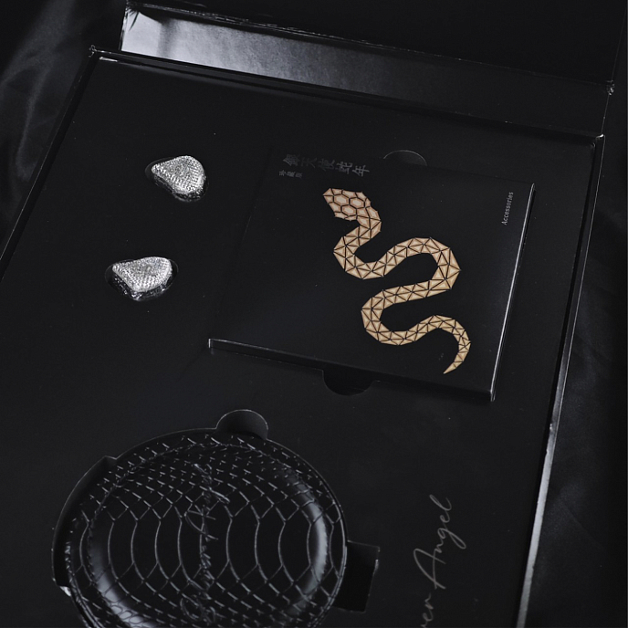 In-ear headphones EarAcoustic SPA Limited Edition Silver Snake Collectors Version Silver - img.9