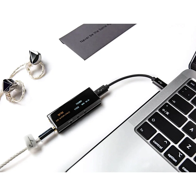 Headphone amplifier with DAC Cayin RU6 - img.3